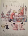 Illustration from the book Codex Seraphinianus, Kleiver's inspiration